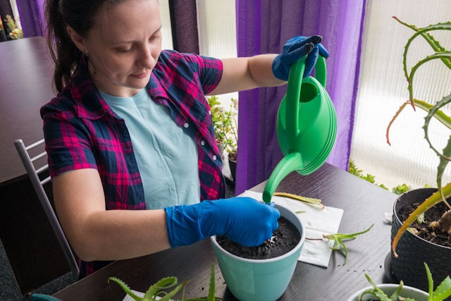 DIY Natural Cleaner Recipes That Actually Work: Eco-Friendly Cleaning for 2025