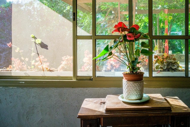 DIY Home Decoration Tips on Budget: Affordable Ways to Beautify Your Home in 2025