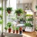 5 Practical Indoor Apartment Gardening Ideas for Small Spaces