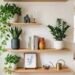 Indoor Plant Decor Ideas
