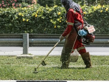 Lawn Care in Extreme Heat