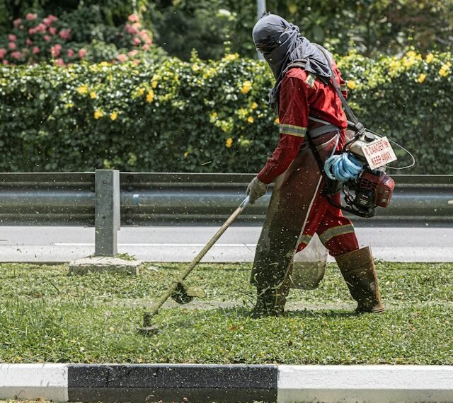 Lawn Care in Extreme Heat
