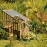 Surviving the Scorcher: Professional Heat Wave Garden Tips