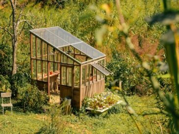DIY Greenhouse Plans