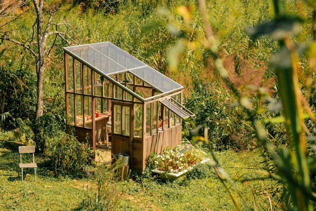 DIY Greenhouse Plans
