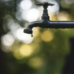 How Water Leaks Can Lead to Black Mold & How to Remediate It Safely