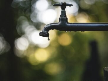 How Water Leaks Can Lead to Black Mold & How to Remediate It Safely