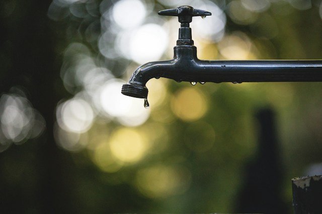 How Water Leaks Can Lead to Black Mold & How to Remediate It Safely